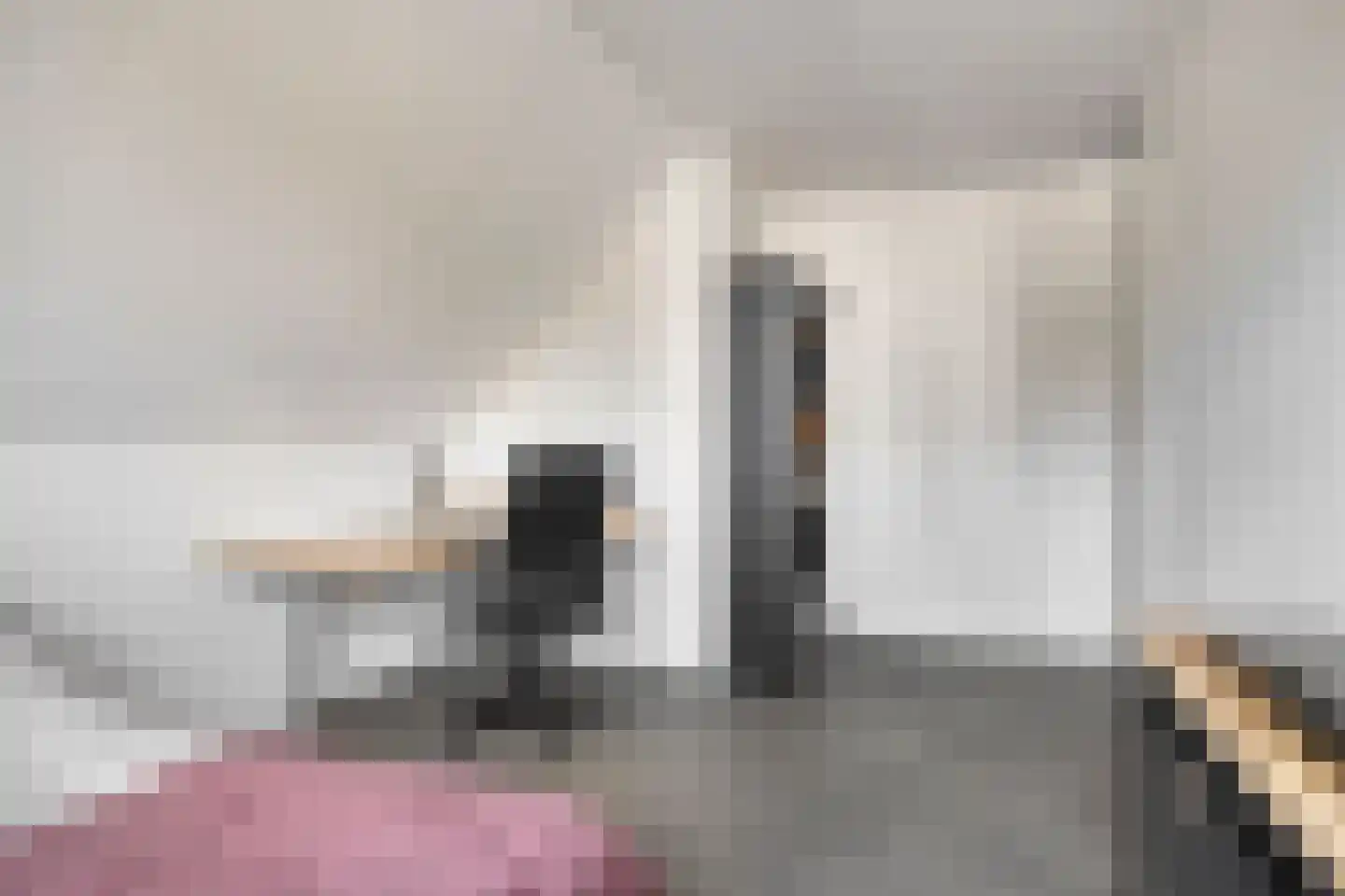 Pimpelmeesstraat 3 Sterksel thumbnail 20