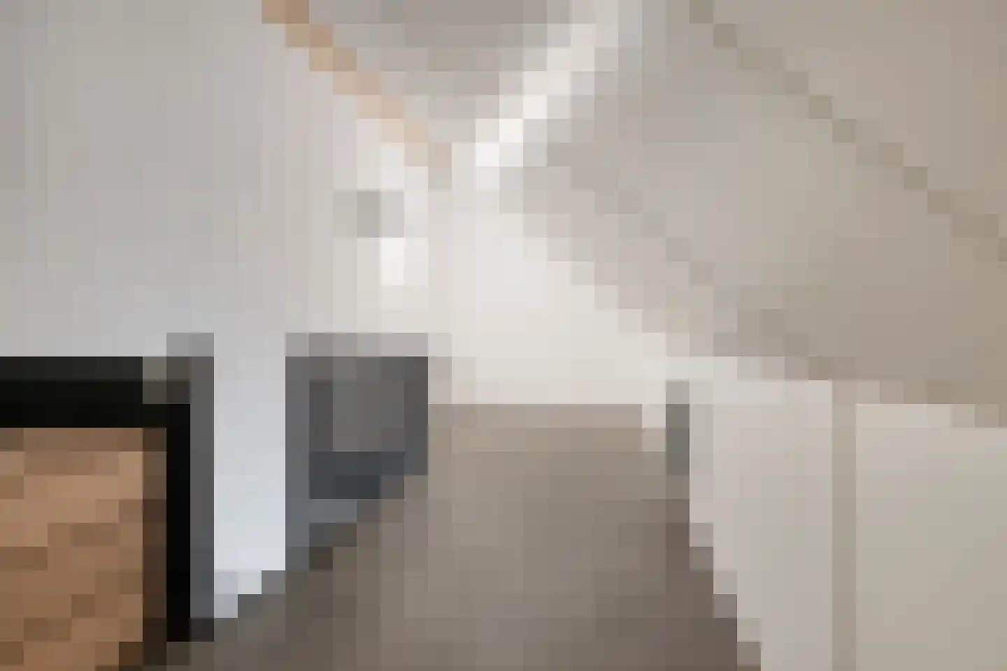 Pimpelmeesstraat 3 Sterksel thumbnail 26