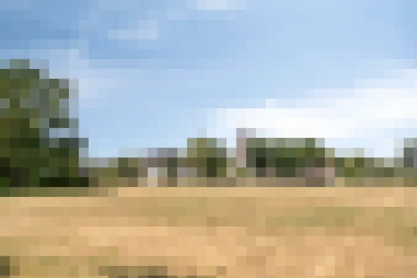 Pimpelmeesstraat 3 Sterksel thumbnail 32