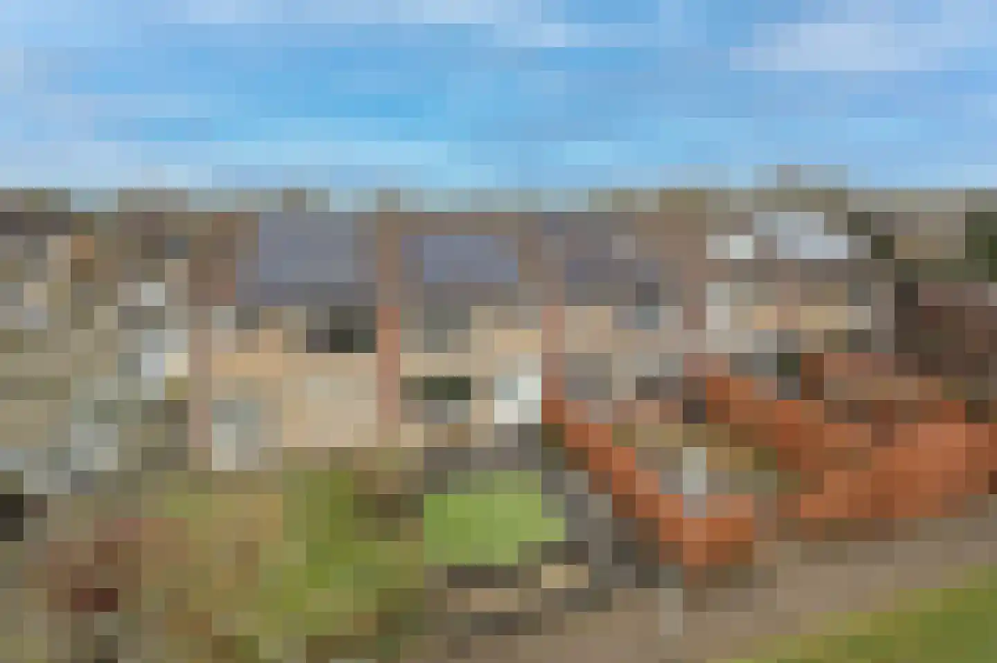 Pimpelmeesstraat 3 Warmenhuizen thumbnail 7