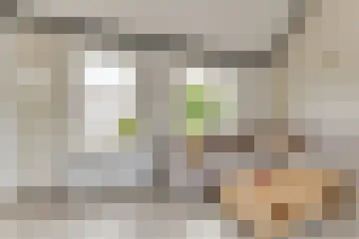 Pimpelmeesstraat 35 Alkmaar thumbnail 11