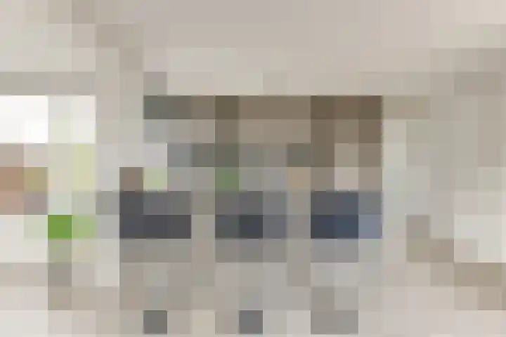 Pimpelmeesstraat 35 Alkmaar thumbnail 17