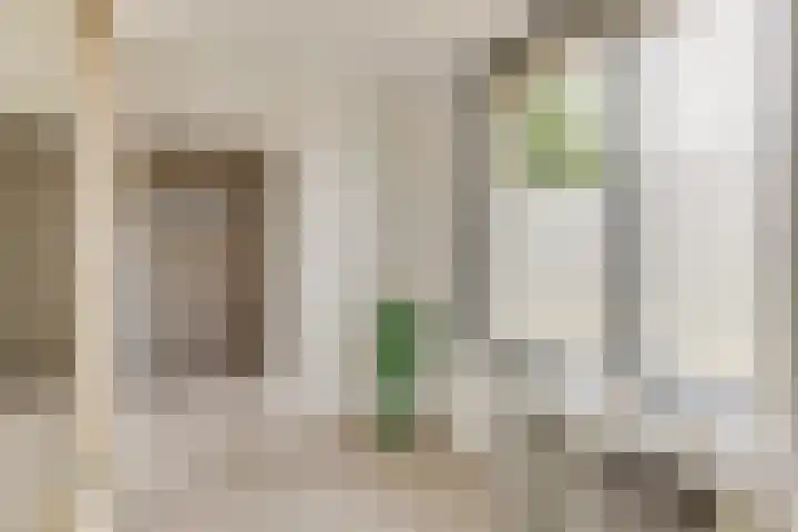 Pimpelmeesstraat 35 Alkmaar thumbnail 22