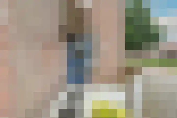 Pimpelmeesstraat 35 Alkmaar thumbnail 7