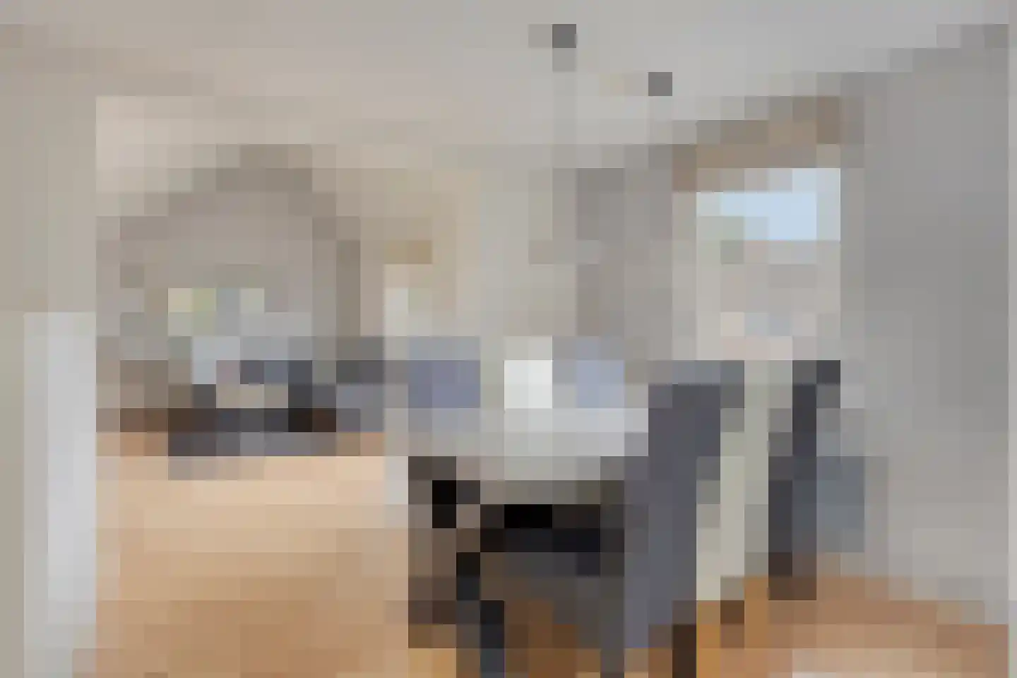Pimpelmeesstraat 38 Alkmaar thumbnail 12