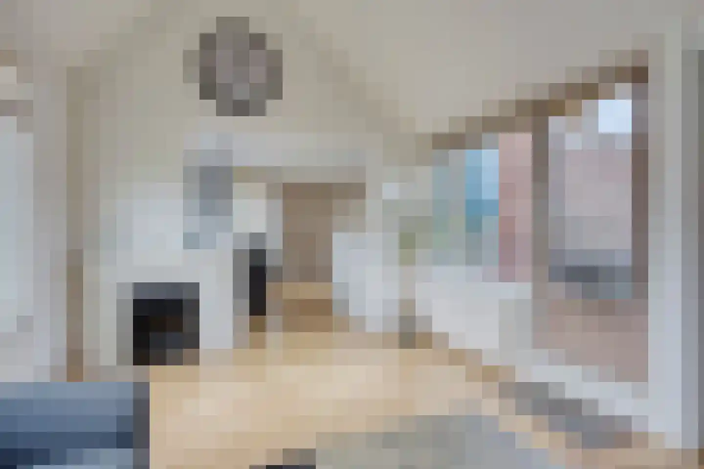 Pimpelmeesstraat 38 Alkmaar thumbnail 15