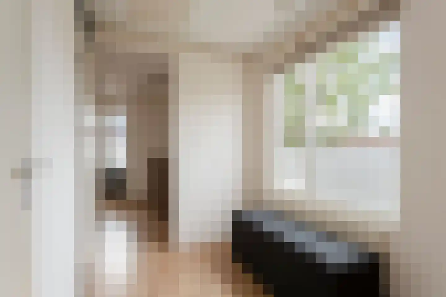 Pimpelmeesstraat 38 Alkmaar thumbnail 24