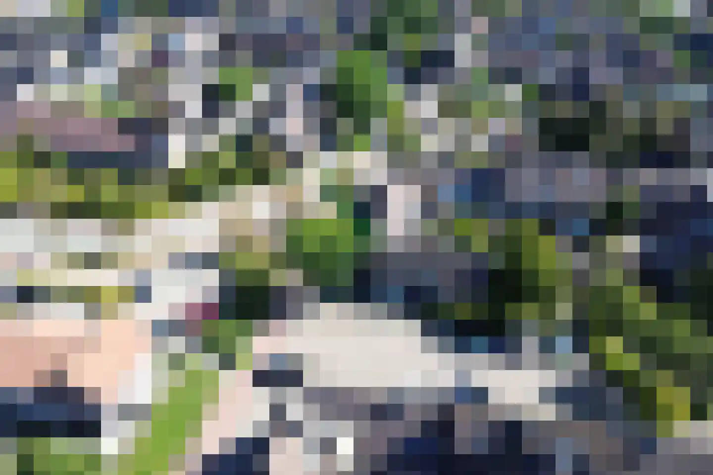 Pimpelmeesstraat 38 Alkmaar thumbnail 29