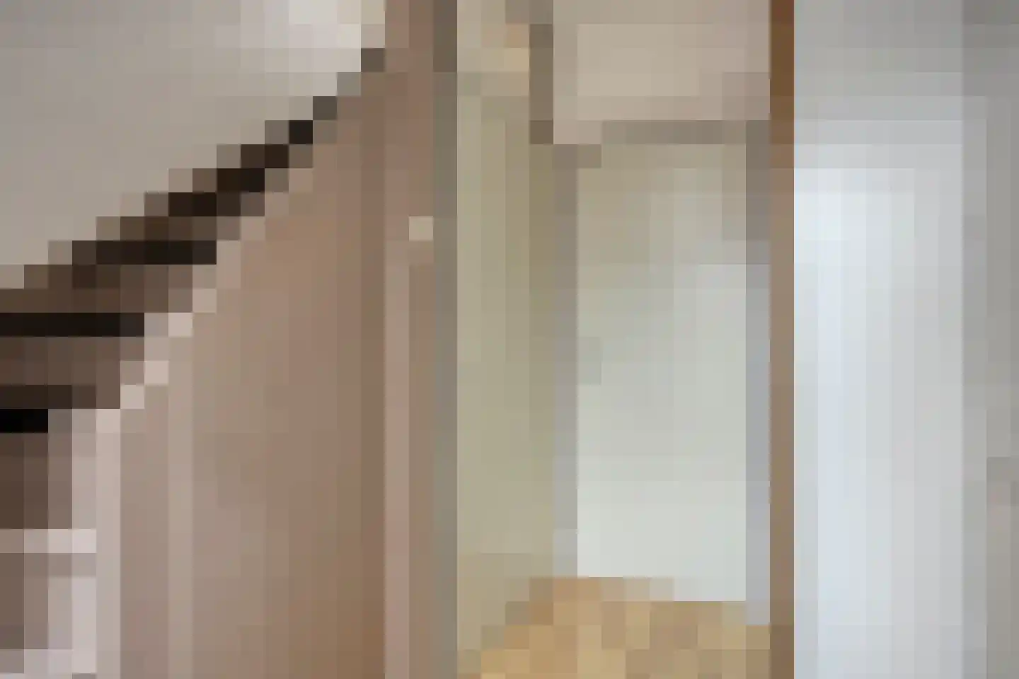 Pimpelmeesstraat 38 Alkmaar thumbnail 6