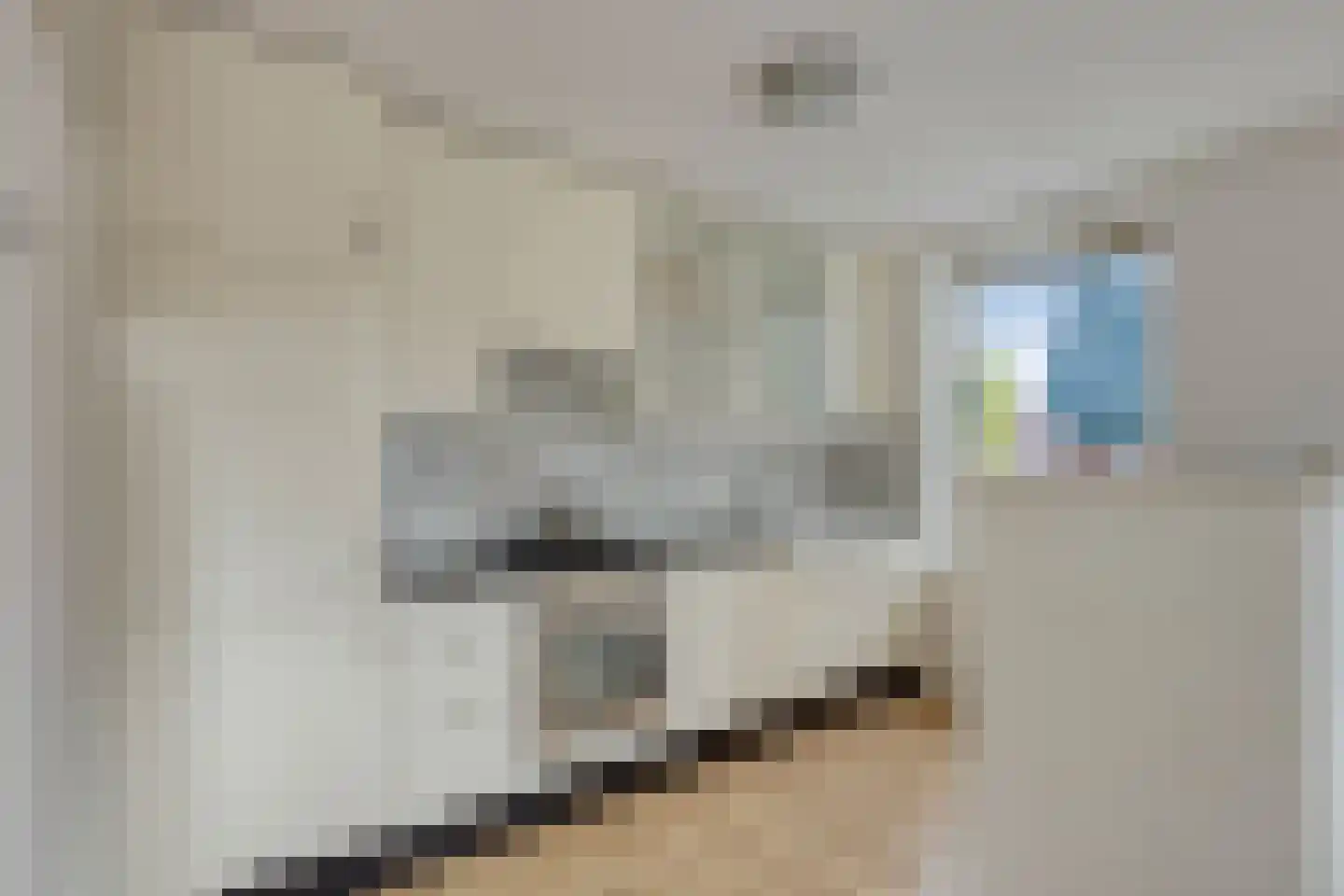 Pimpelmeesstraat 38 Alkmaar thumbnail 9