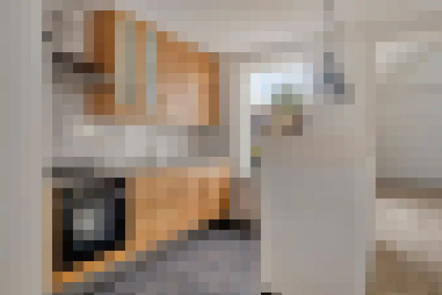 Pimpelmeesstraat 49 Alkmaar thumbnail 12