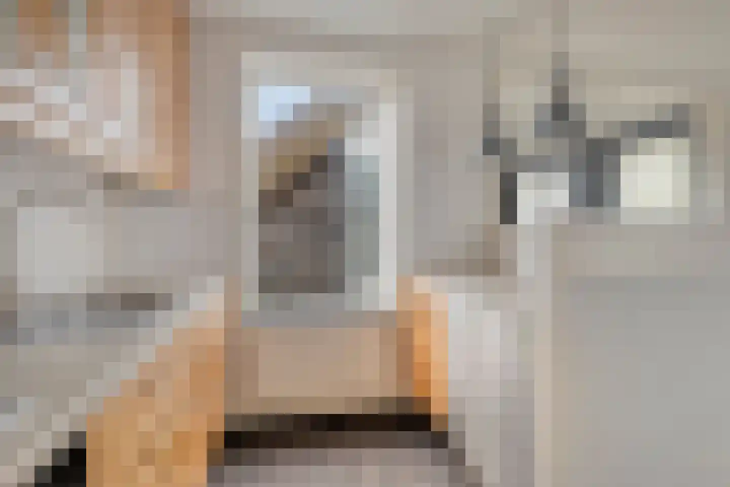 Pimpelmeesstraat 49 Alkmaar thumbnail 13