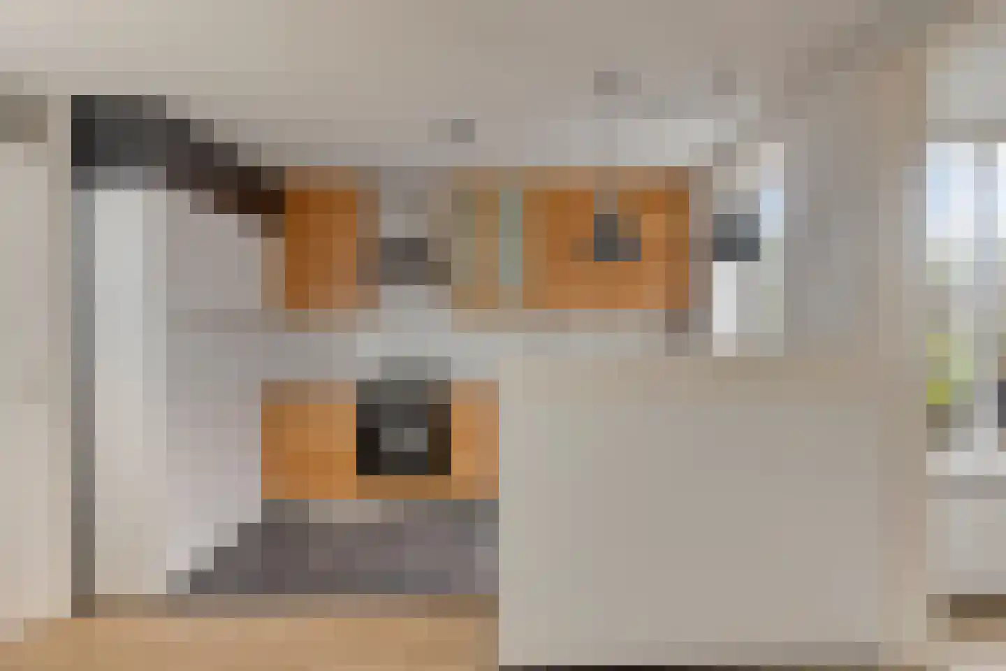 Pimpelmeesstraat 49 Alkmaar thumbnail 14