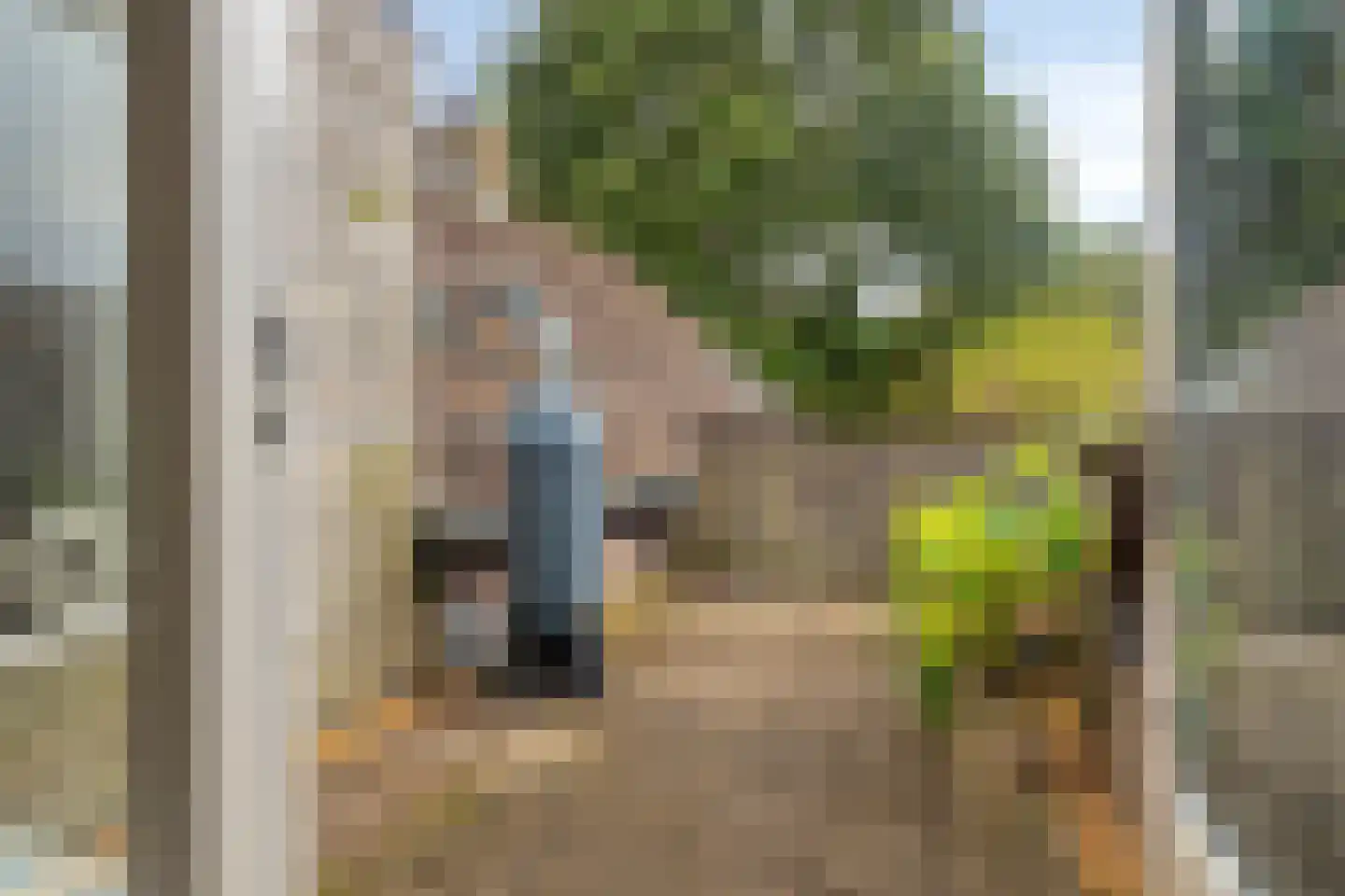 Pimpelmeesstraat 49 Alkmaar thumbnail 19