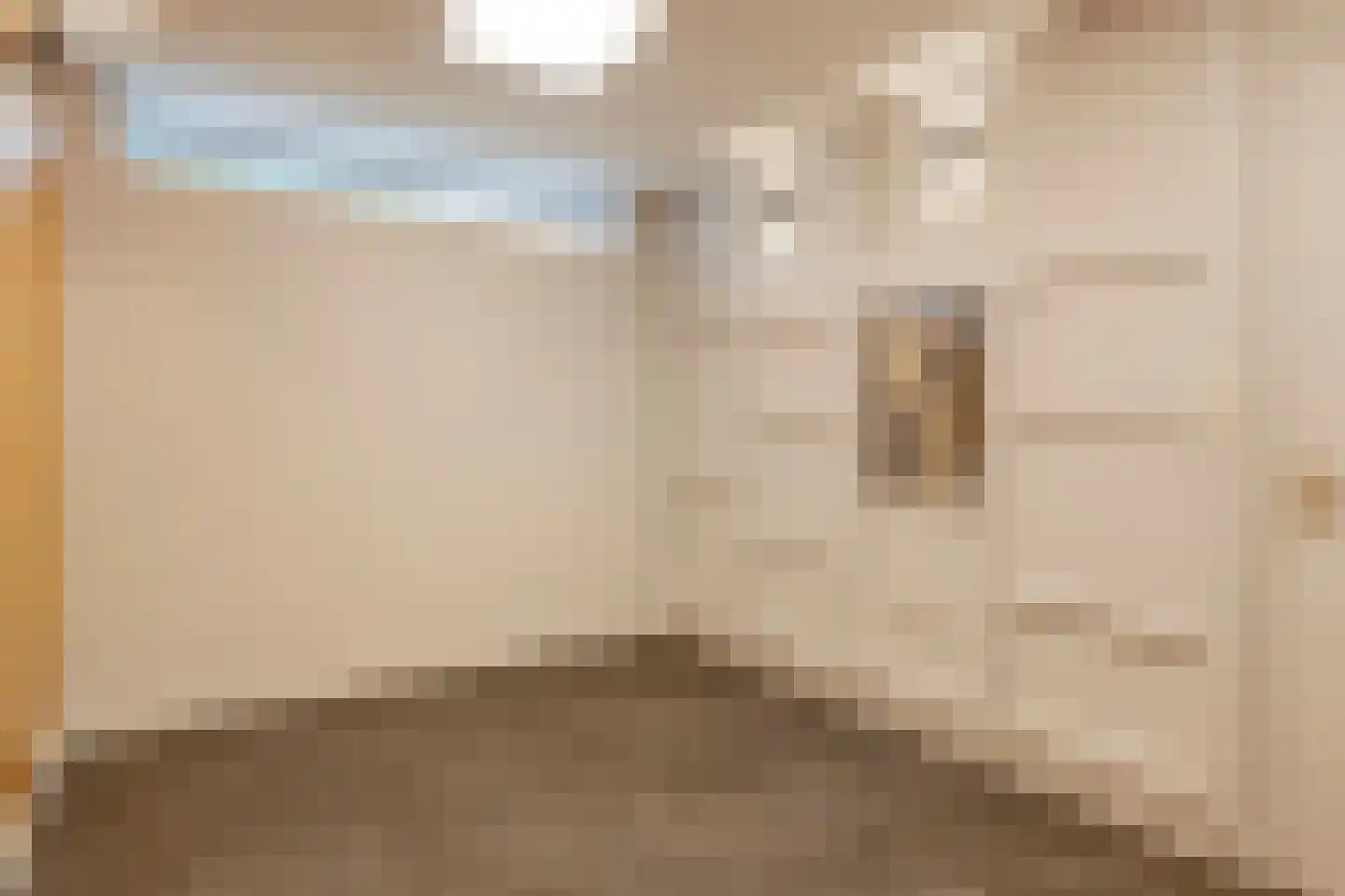 Pimpelmeesstraat 49 Alkmaar thumbnail 35