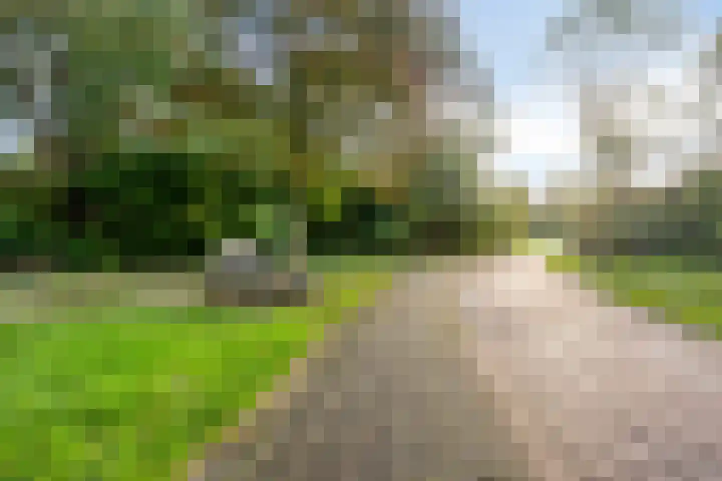 Pimpelmeesstraat 49 Alkmaar thumbnail 42