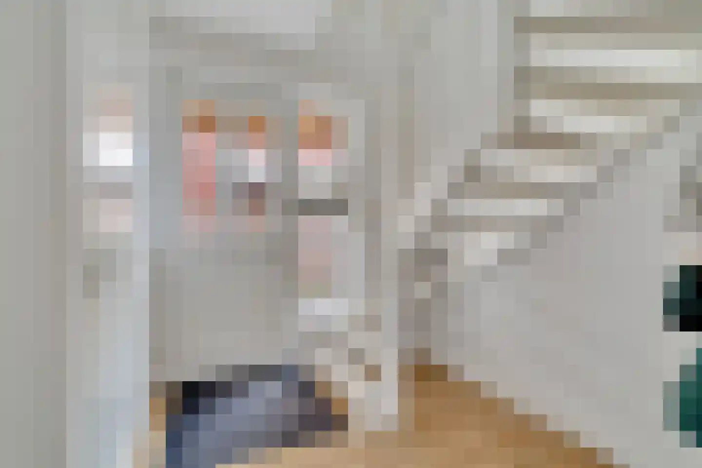 Pimpernel 12 Nijverdal thumbnail 13