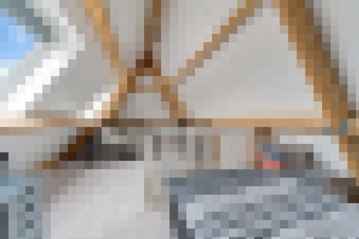 Pimpernel 12 Nijverdal thumbnail 26