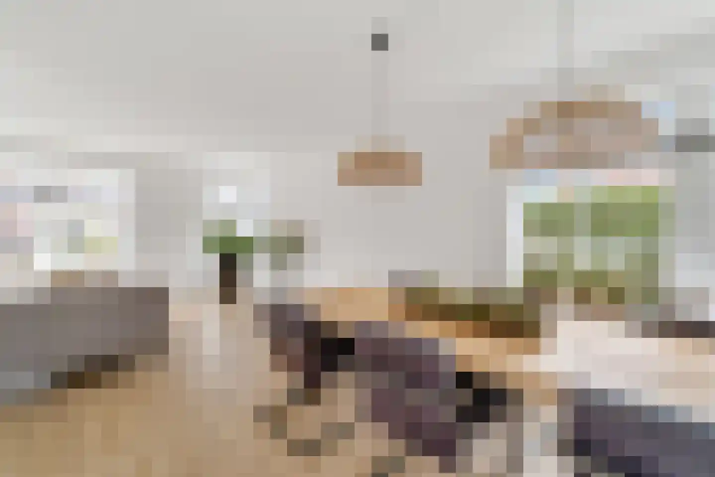 Pimpernel 12 Nijverdal thumbnail 7