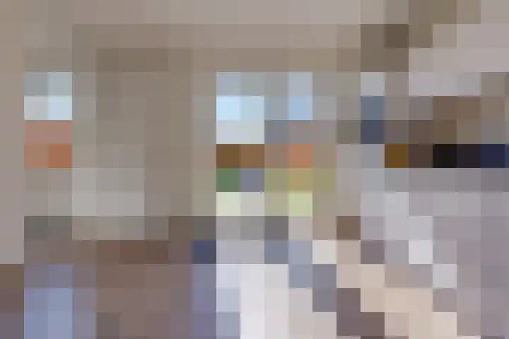 Pimpernel 13 Nieuw-Buinen thumbnail 13
