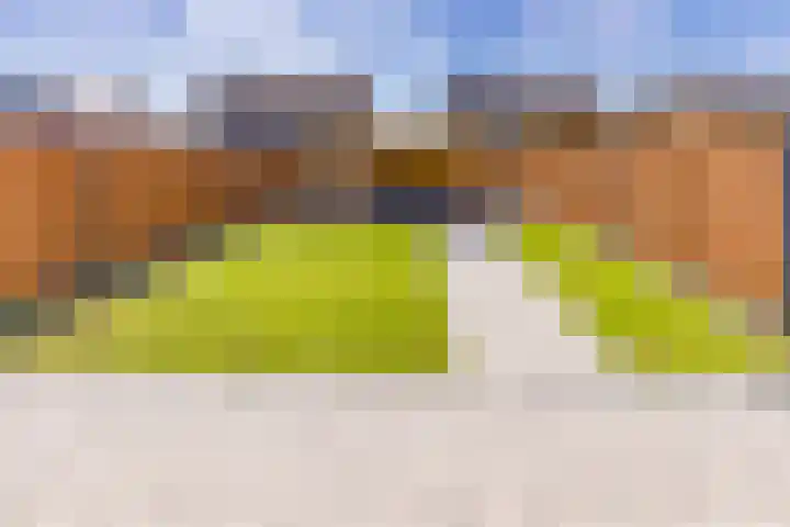 Pimpernel 13 Nieuw-Buinen thumbnail 28