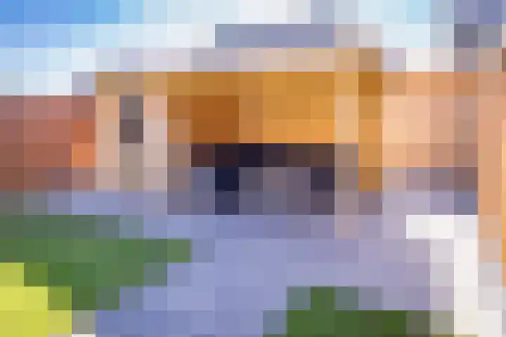 Pimpernel 13 Nieuw-Buinen thumbnail 29