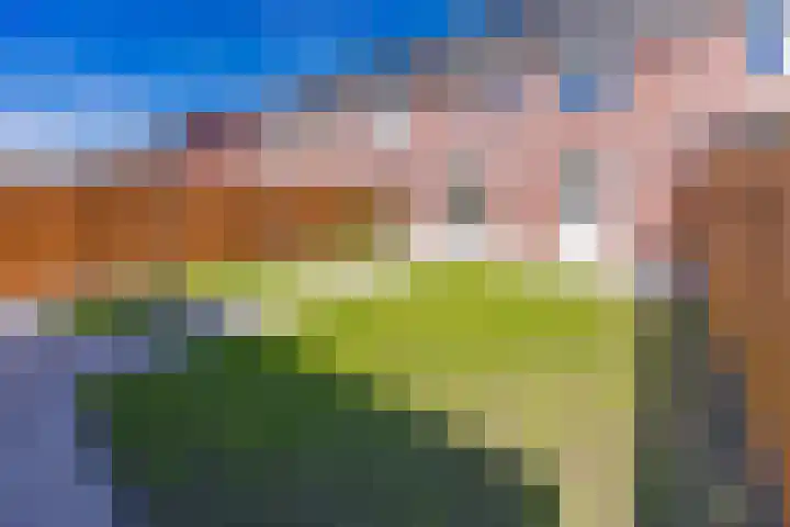 Pimpernel 13 Nieuw-Buinen thumbnail 31
