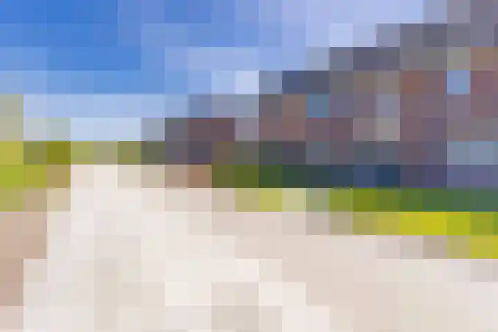 Pimpernel 13 Nieuw-Buinen thumbnail 4