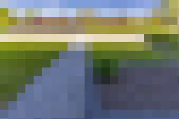 Pimpernel 13 Nieuw-Buinen thumbnail 5