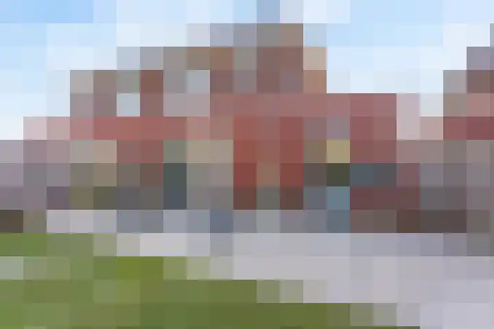 Pimpernel 24 Nijverdal thumbnail 15
