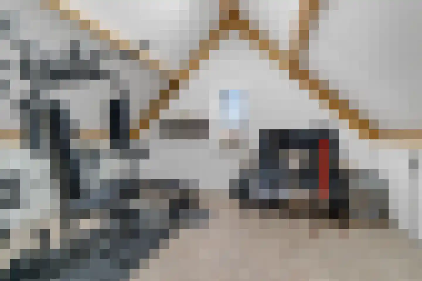 Pimpernel 3 Nijverdal thumbnail 30