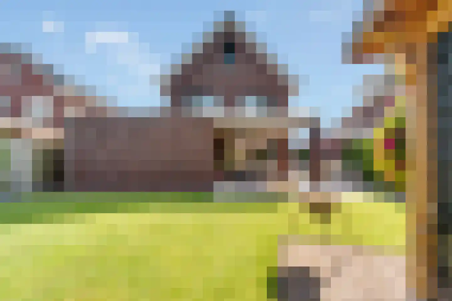 Pimpernel 3 Nijverdal thumbnail 32