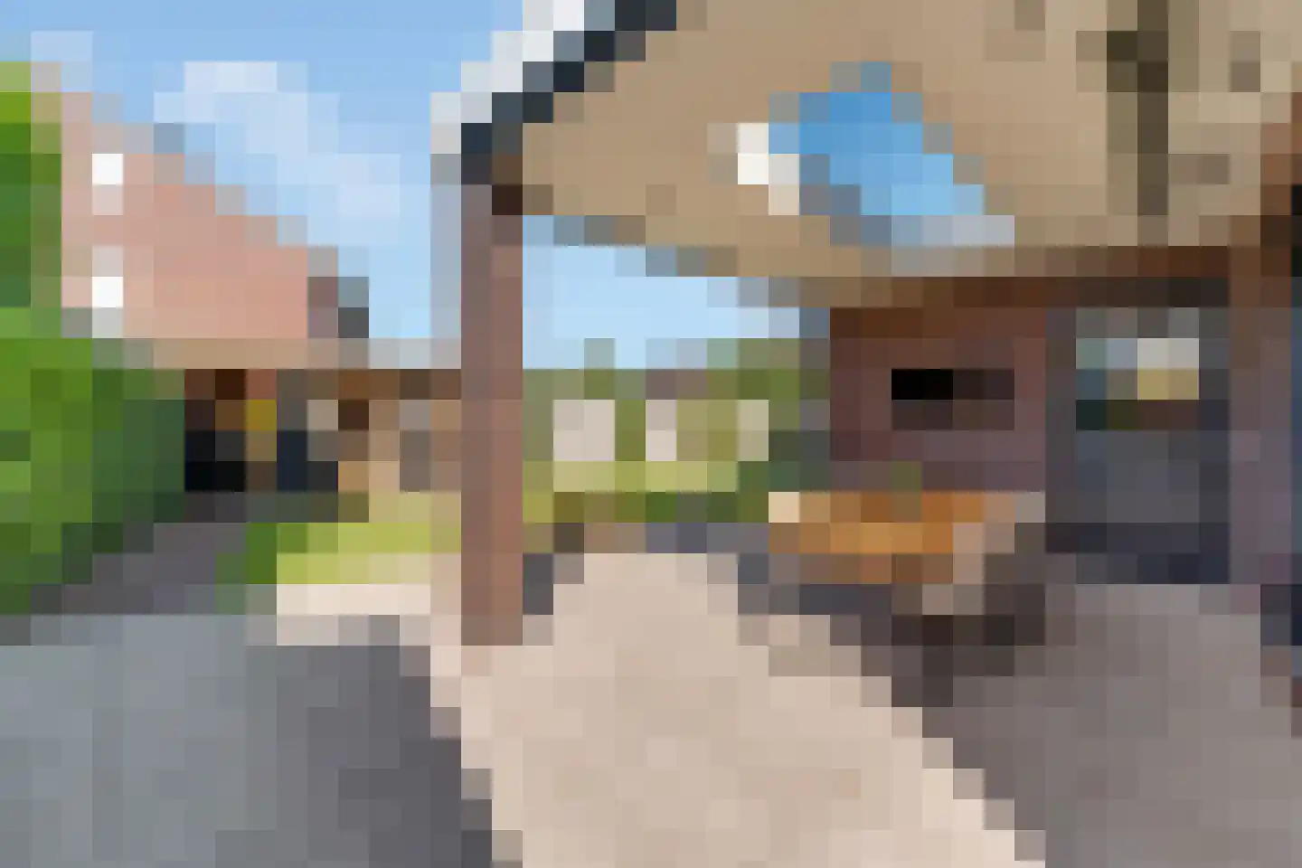Pimpernel 3 Nijverdal thumbnail 35