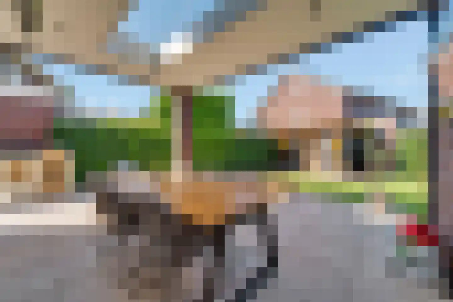 Pimpernel 3 Nijverdal thumbnail 36