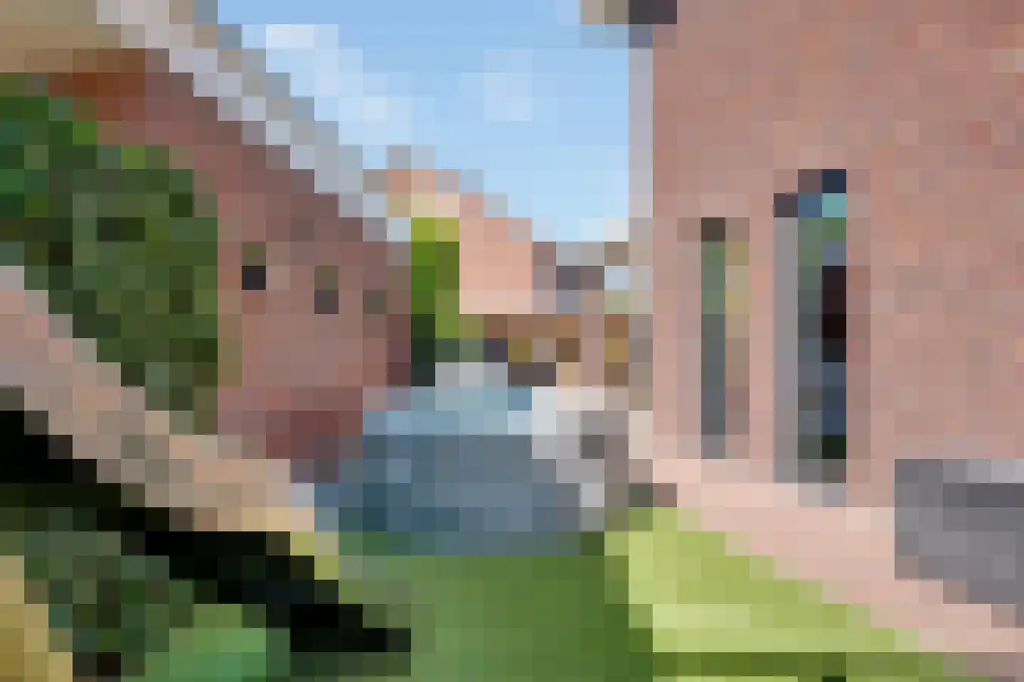 Pimpernel 3 Nijverdal thumbnail 39