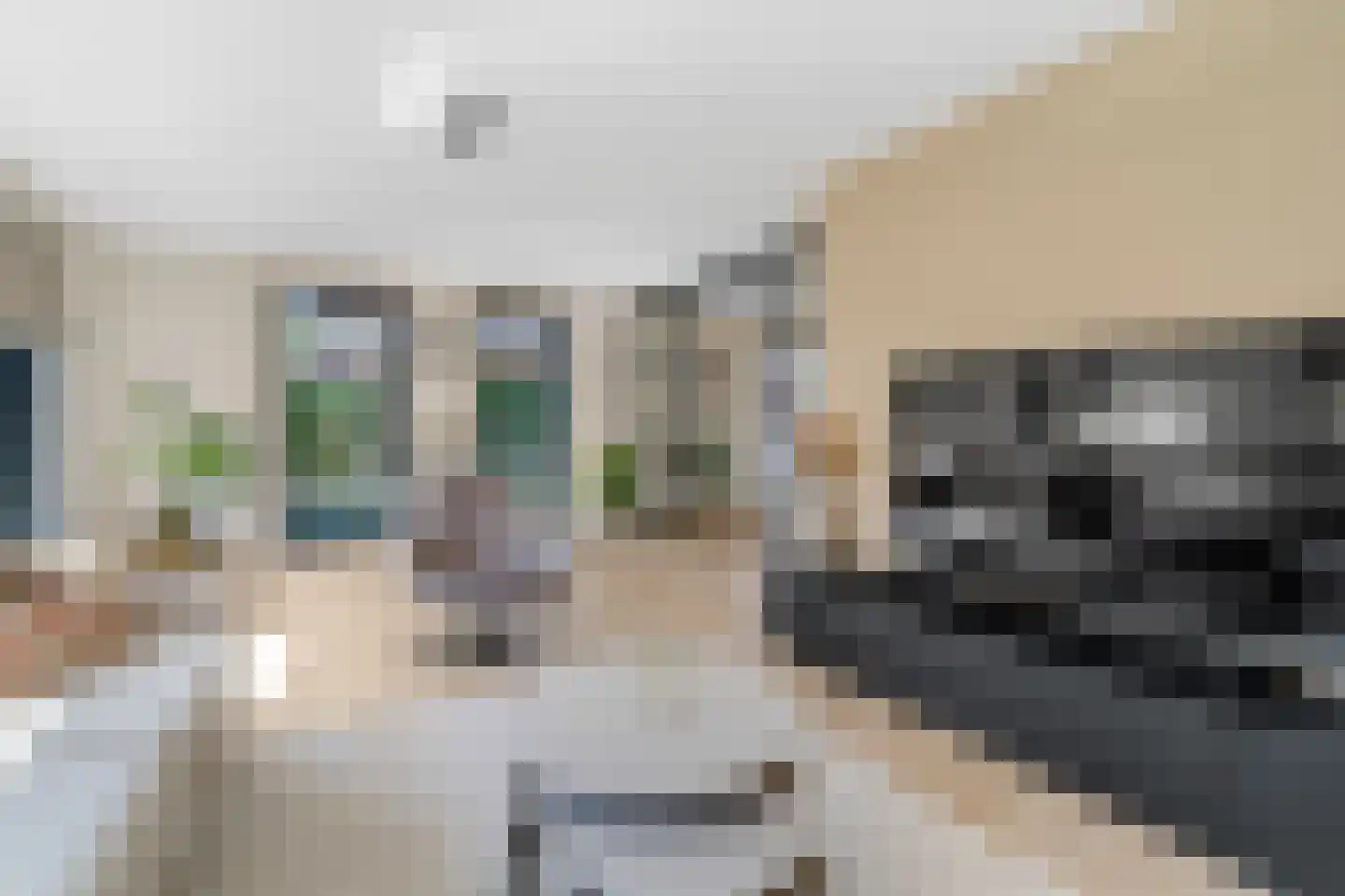 Pimpernel 3 Nijverdal thumbnail 5
