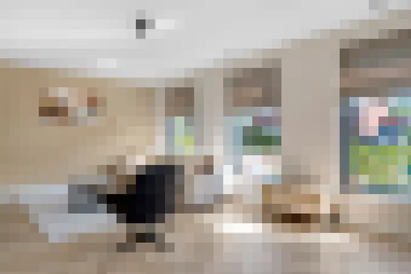 Pimpernel 3 Nijverdal thumbnail 6