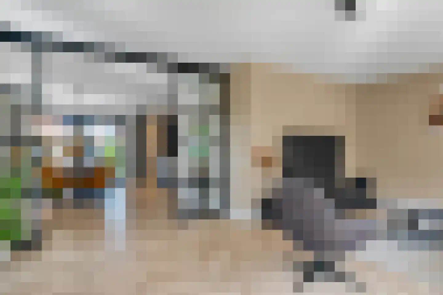 Pimpernel 3 Nijverdal thumbnail 7