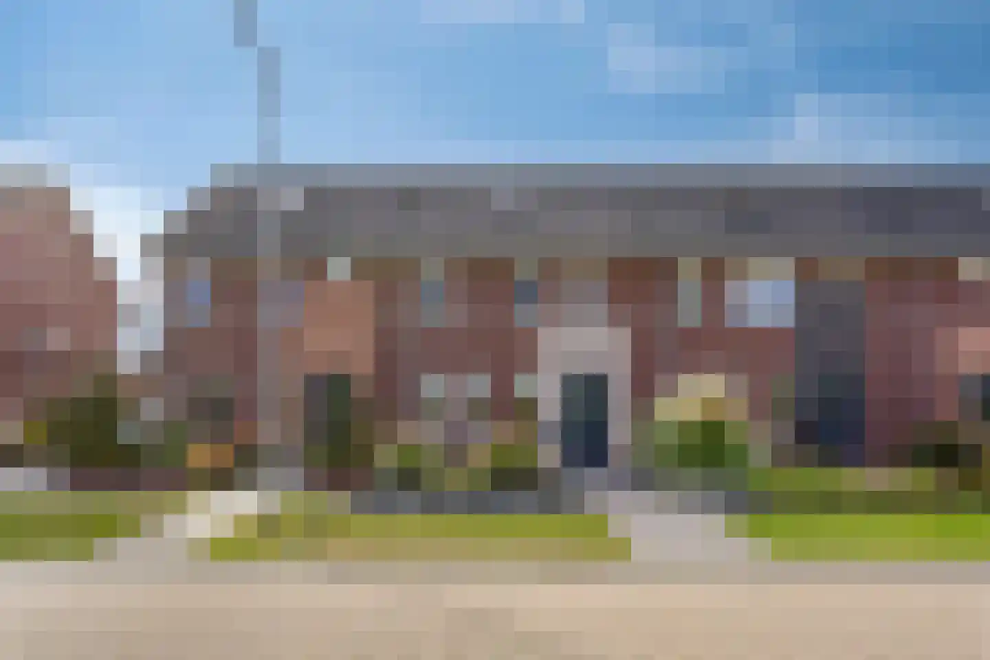 Pimpernel 41 Nieuw-Buinen thumbnail 9