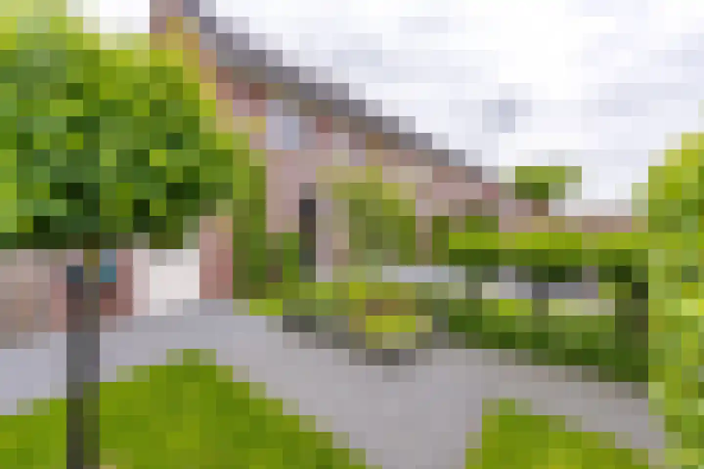 Pimpernel 45 Nieuw-Buinen thumbnail 37