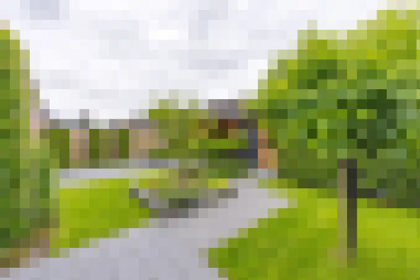 Pimpernel 45 Nieuw-Buinen thumbnail 38