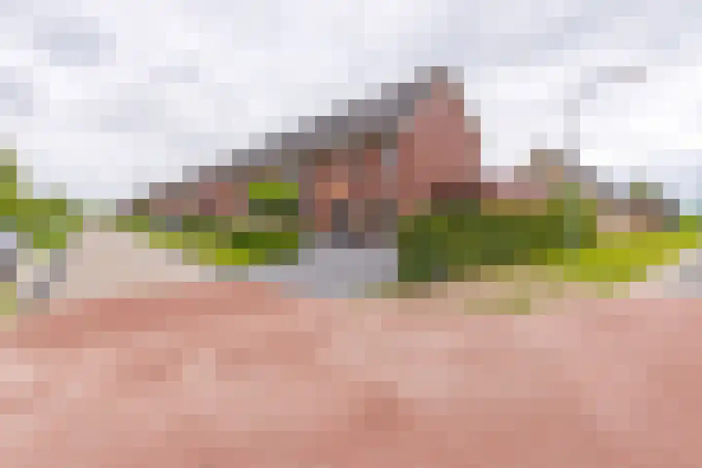 Pimpernel 45 Nieuw-Buinen thumbnail 9