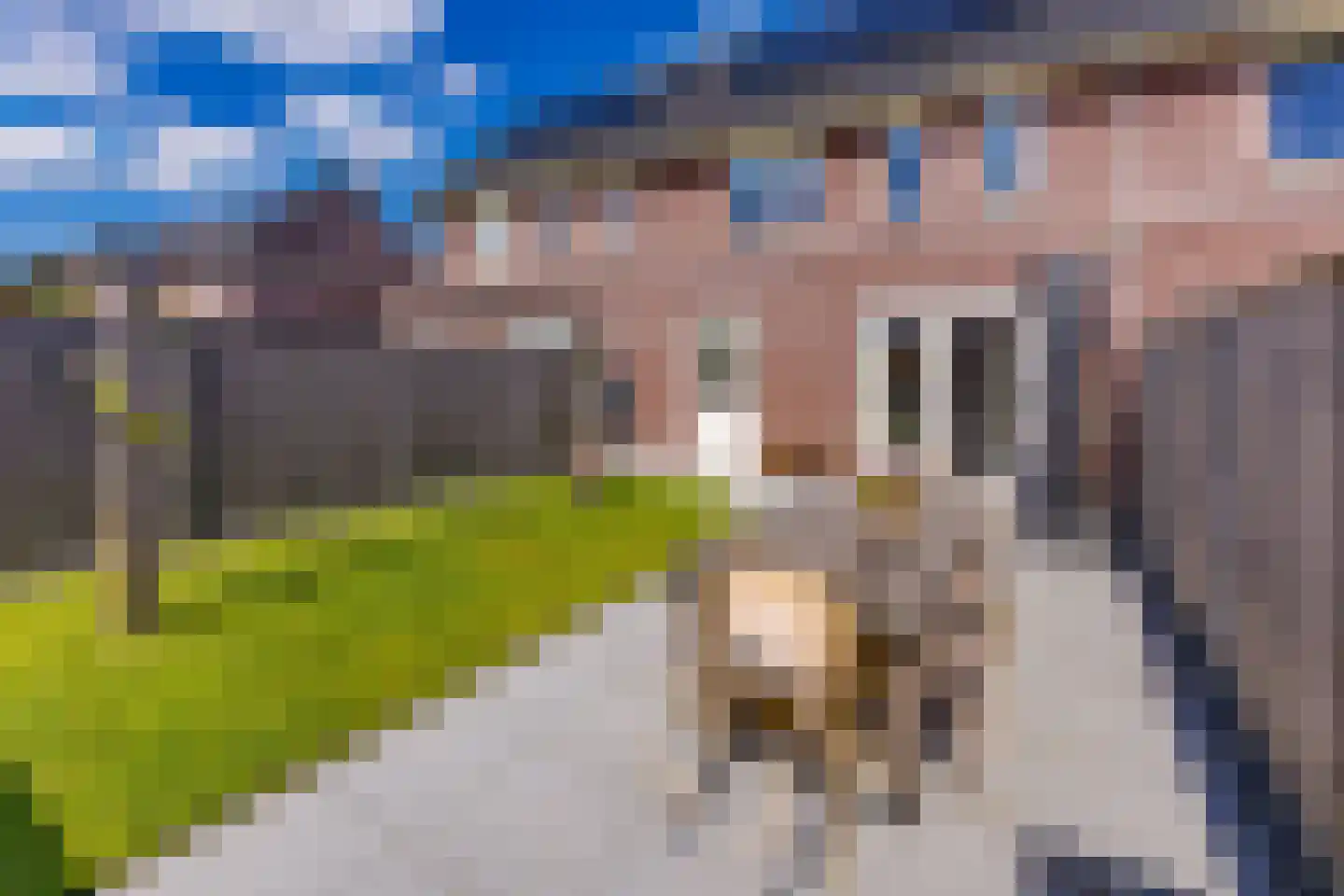 Pimpernel 7 Nieuw-Buinen thumbnail 36