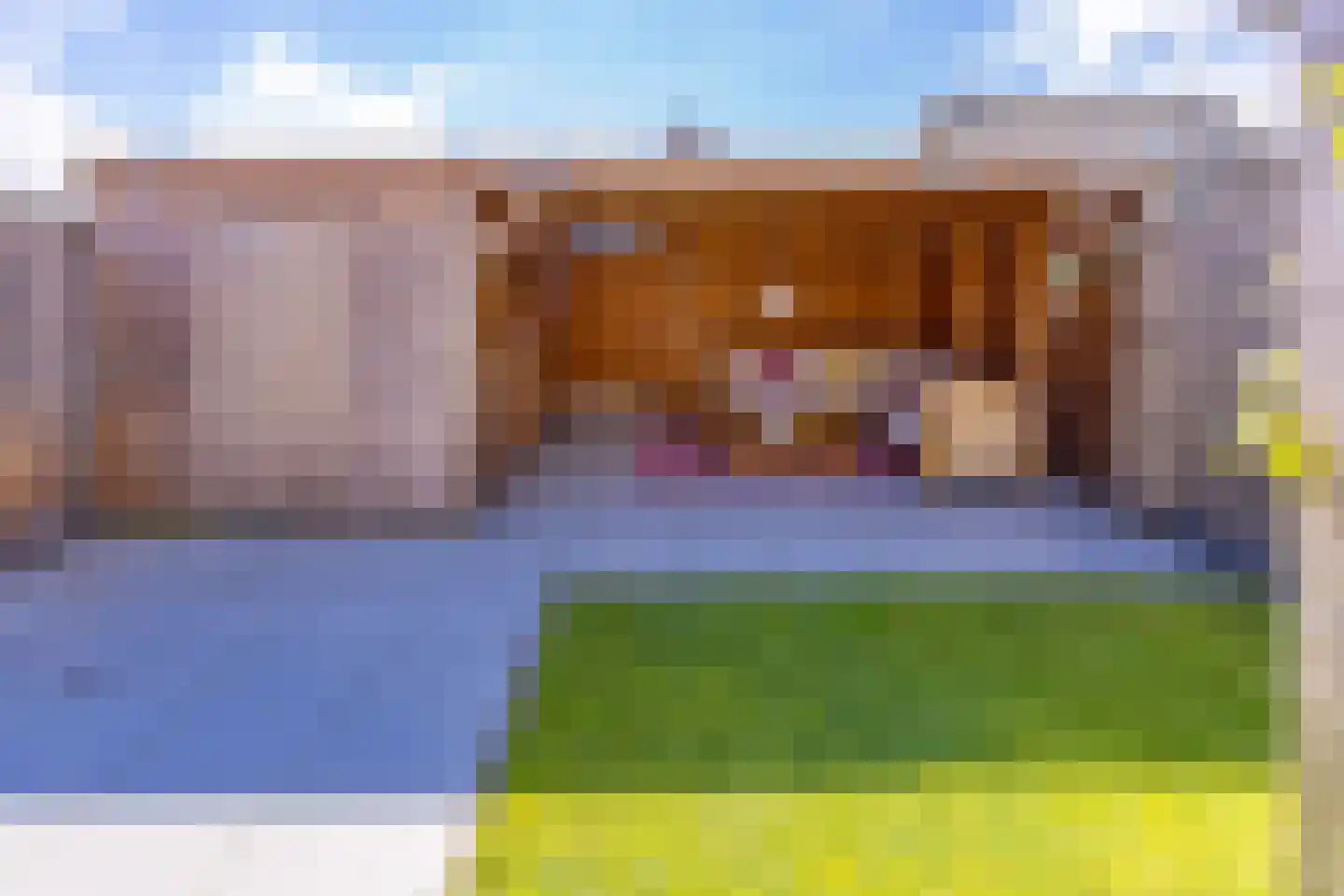 Pimpernel 7 Nieuw-Buinen thumbnail 38
