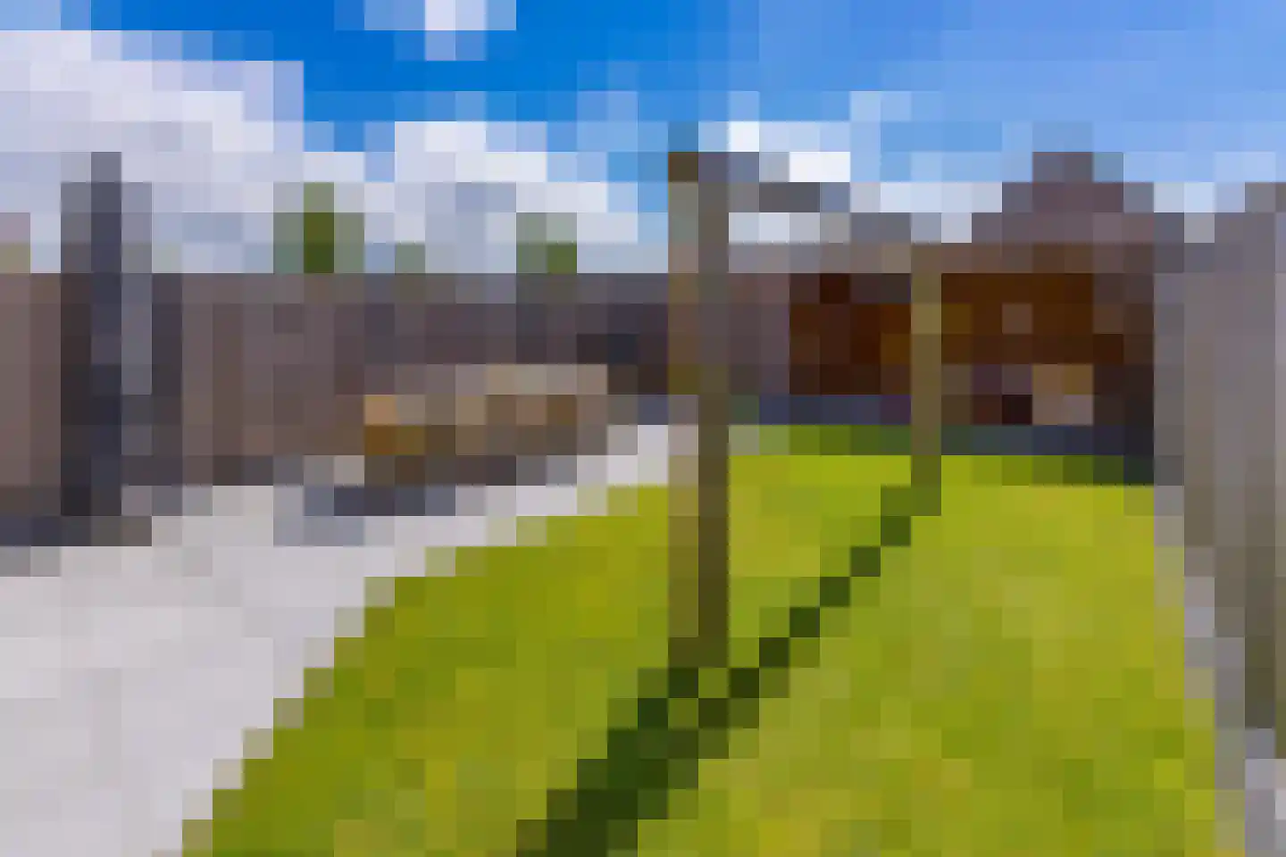 Pimpernel 7 Nieuw-Buinen thumbnail 40