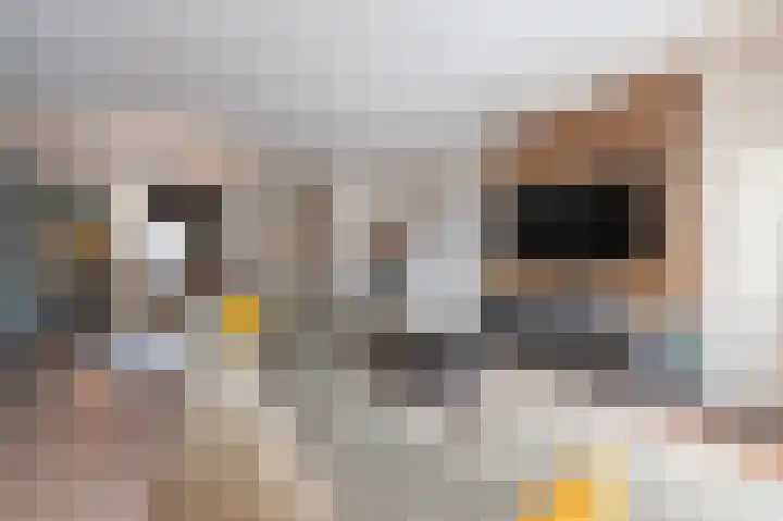 Pimpernelblauwtje 13 Tiel thumbnail 27