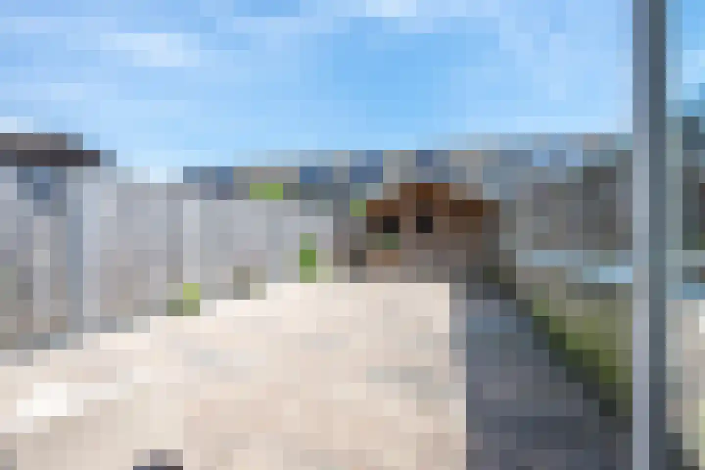 Pimpernelblauwtje 13 Tiel thumbnail 29