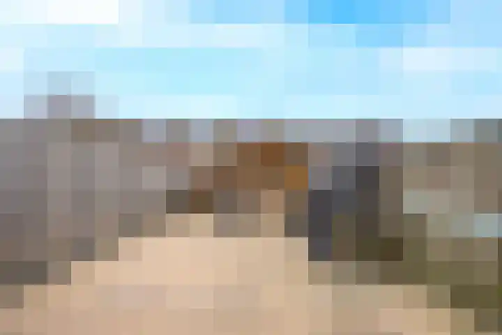 Pimpernelblauwtje 13 Tiel thumbnail 32