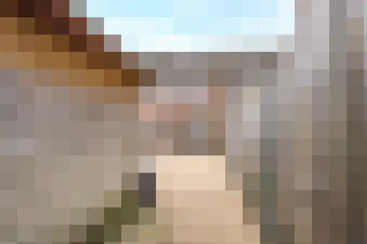 Pimpernelblauwtje 13 Tiel thumbnail 35