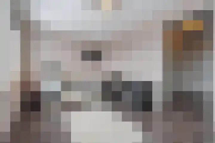 Pimpernelblauwtje 13 Tiel thumbnail 38